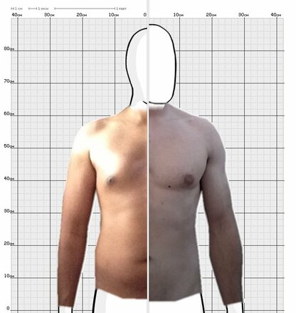 Torso Comparison