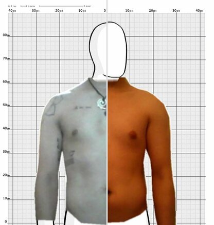 Torso Comparison