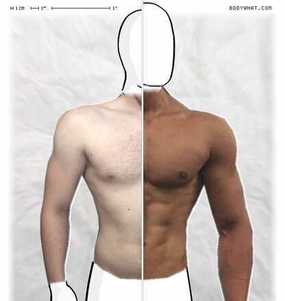 Torso Comparison