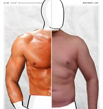 Torso Comparison