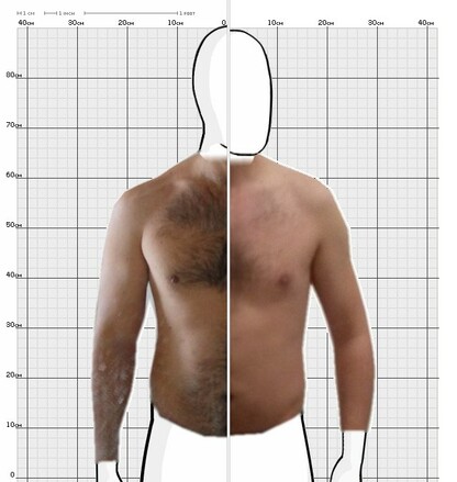 Torso Comparison
