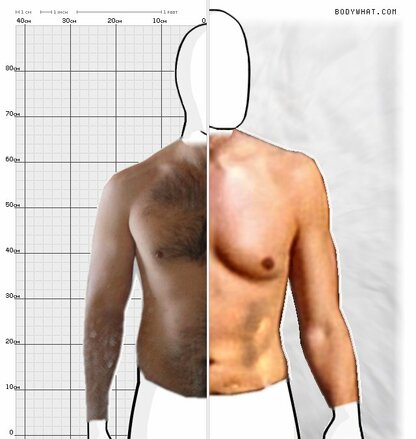 Torso Comparison