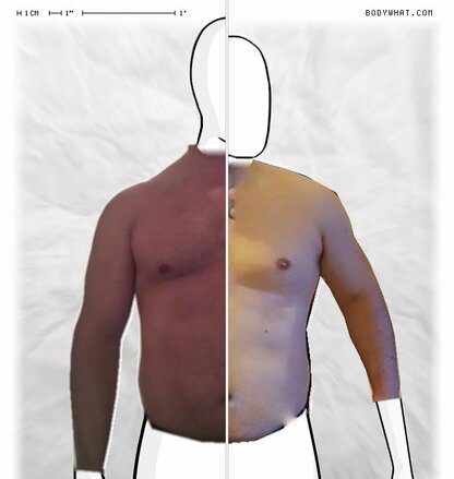 Torso Comparison