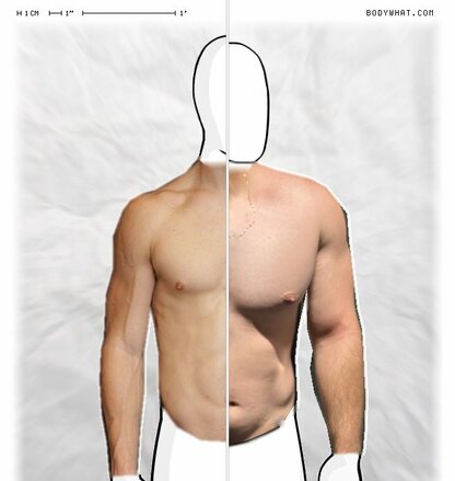 Torso Comparison