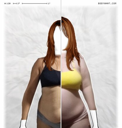 Torso Comparison