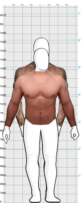 Full Size Comparison