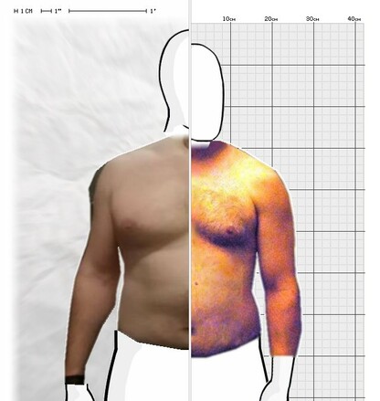 Torso Comparison