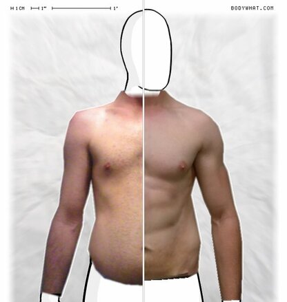 Torso Comparison