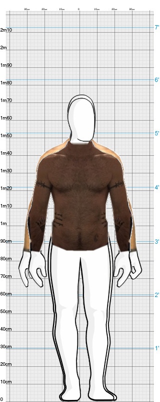 Full Size Comparison