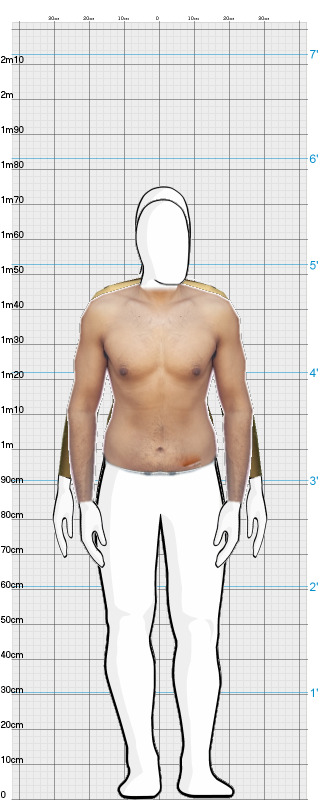 Full Size Comparison