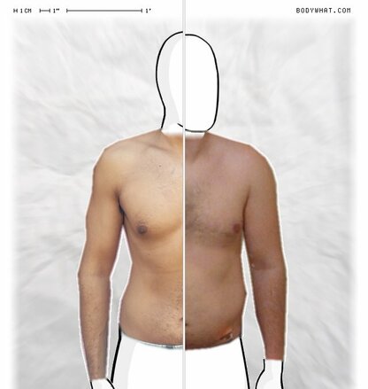 Torso Comparison