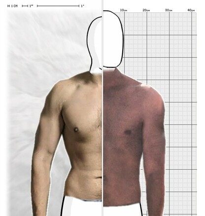 Torso Comparison