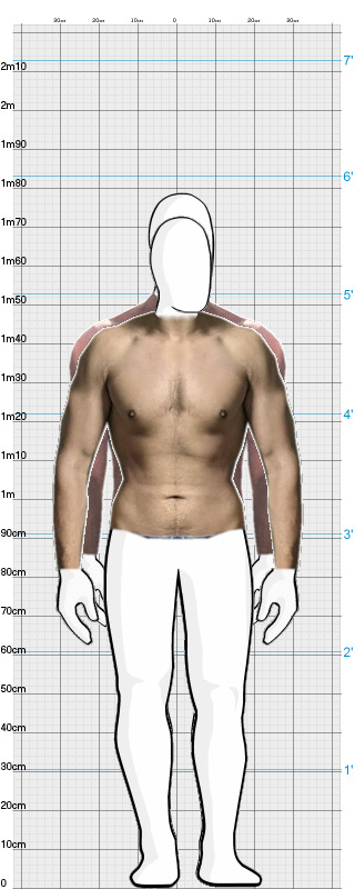 Full Size Comparison