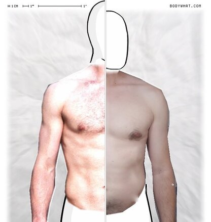 Torso Comparison