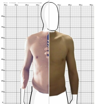 Torso Comparison