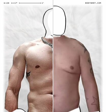 Torso Comparison