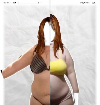 Torso Comparison