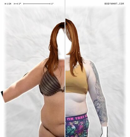 Torso Comparison