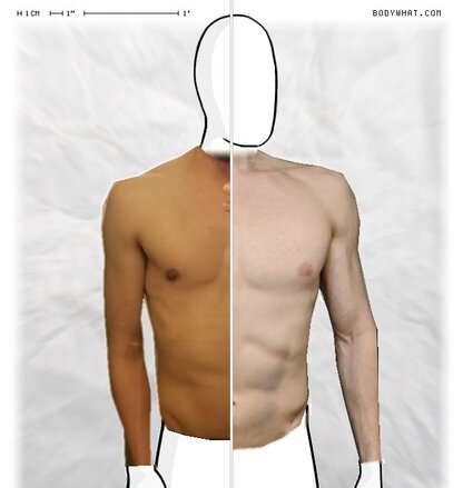 Torso Comparison