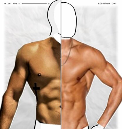 Torso Comparison