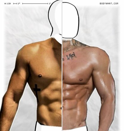 Torso Comparison