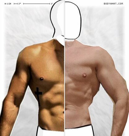 Torso Comparison