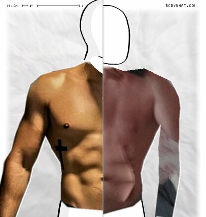 Torso Comparison