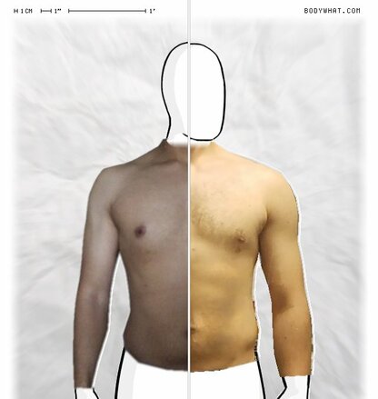 Torso Comparison