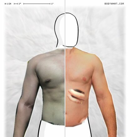 Torso Comparison