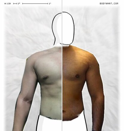 Torso Comparison