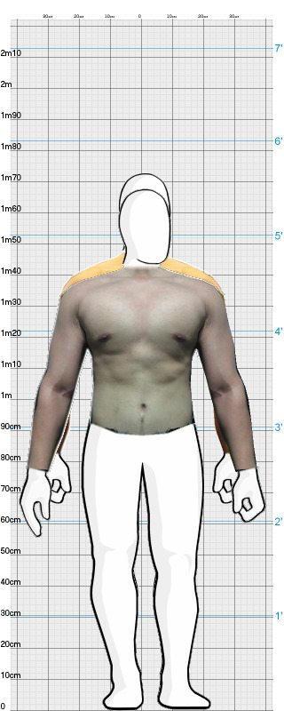 Full Size Comparison