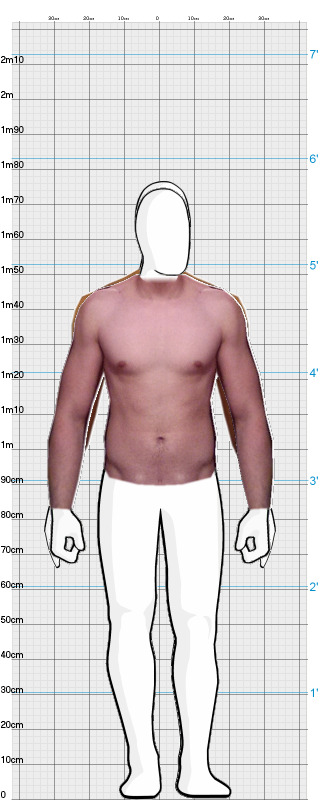 Full Size Comparison