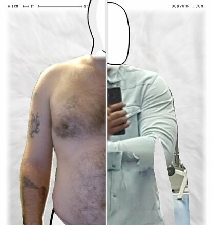 Torso Comparison