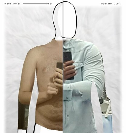 Torso Comparison