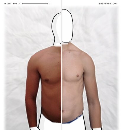 Torso Comparison