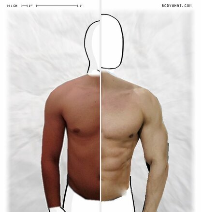 Torso Comparison