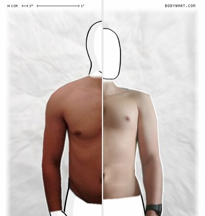 Torso Comparison