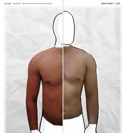 Torso Comparison