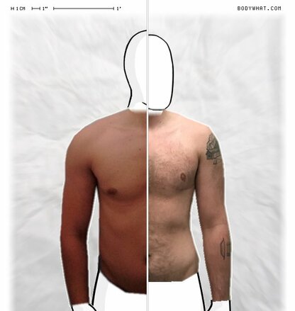 Torso Comparison