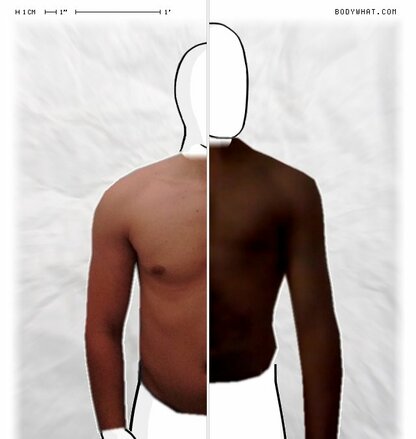 Torso Comparison