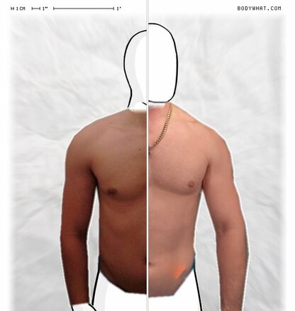 Torso Comparison