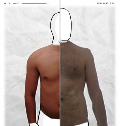 Torso Comparison