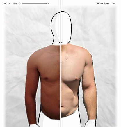 Torso Comparison