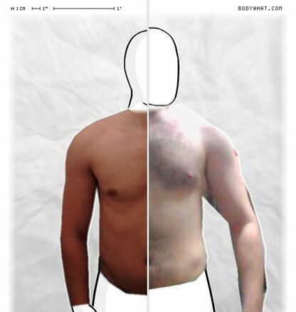Torso Comparison