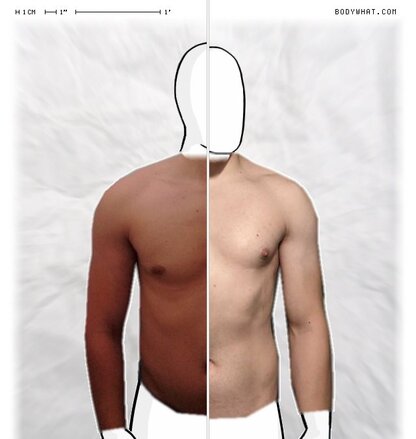 Torso Comparison