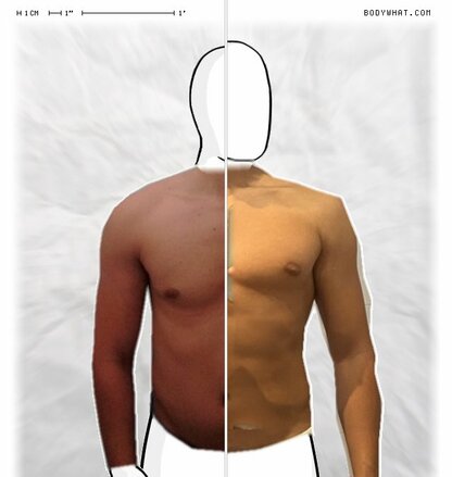 Torso Comparison