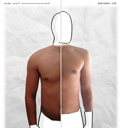 Torso Comparison