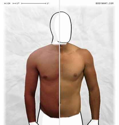 Torso Comparison