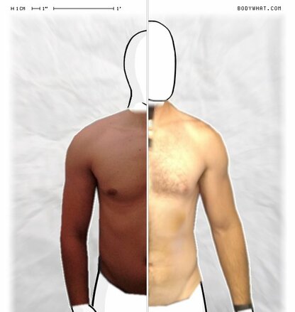 Torso Comparison