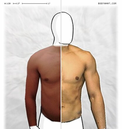 Torso Comparison